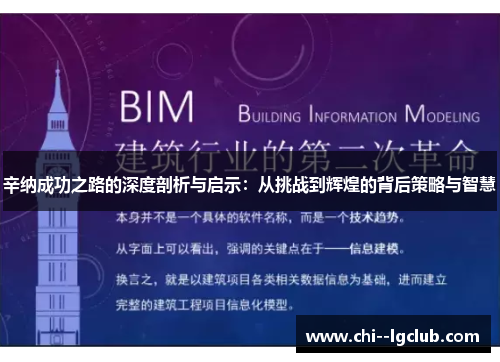 辛纳成功之路的深度剖析与启示：从挑战到辉煌的背后策略与智慧