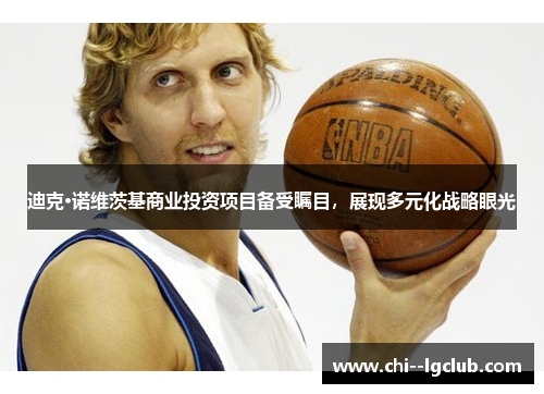 迪克·诺维茨基商业投资项目备受瞩目，展现多元化战略眼光