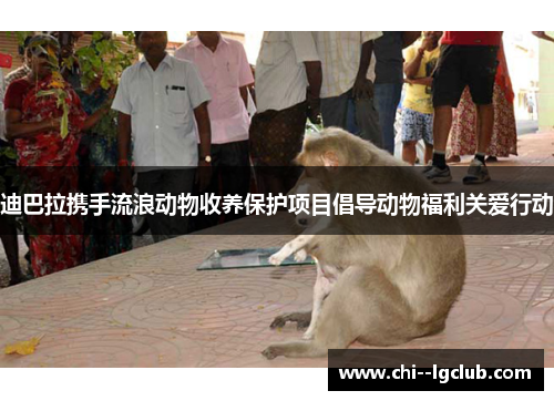 迪巴拉携手流浪动物收养保护项目倡导动物福利关爱行动